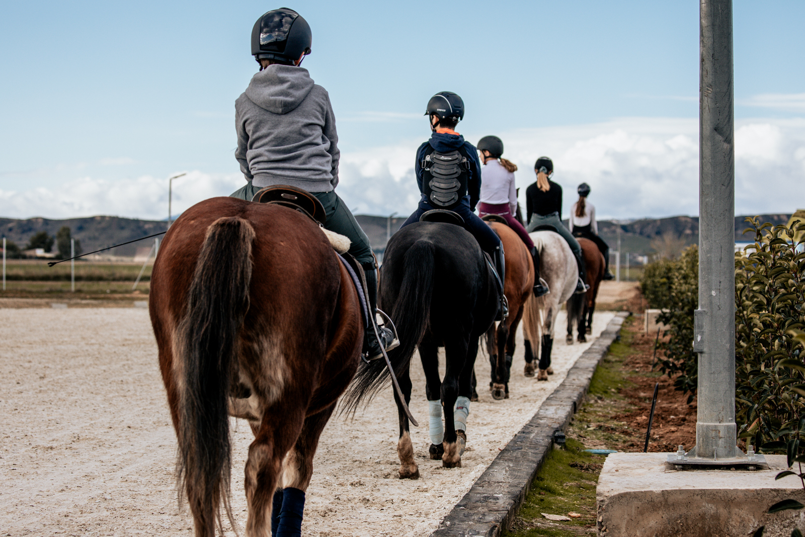 Clases de equitación grupales