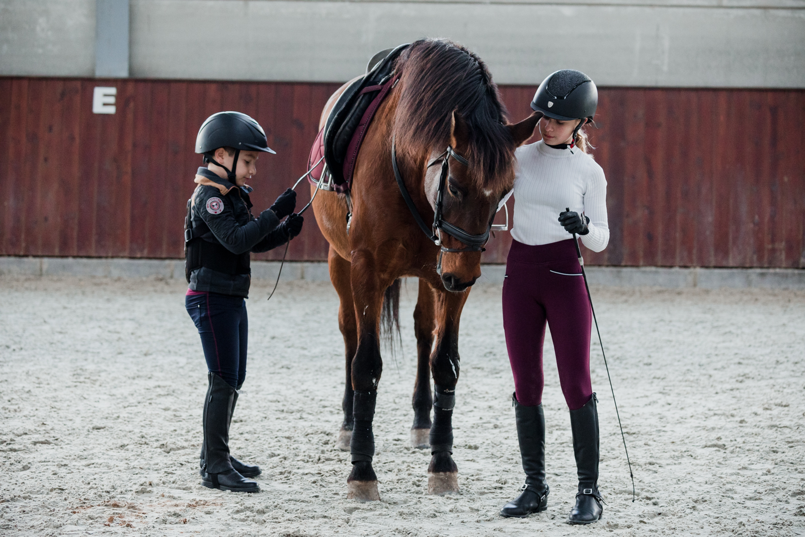 Clases de equitación - Centro Hípico Damar