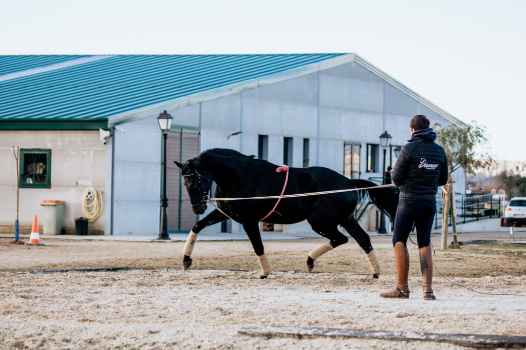 David dando cuerda al caballo