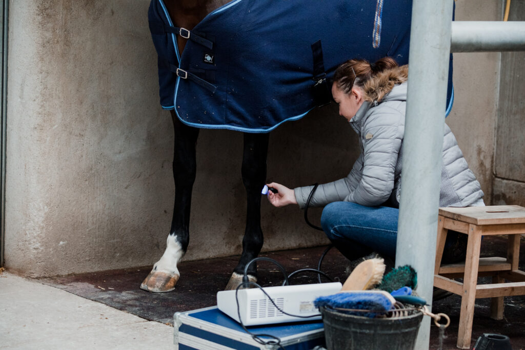 Veterinario trabajando