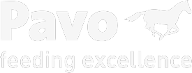 Logo Pavo